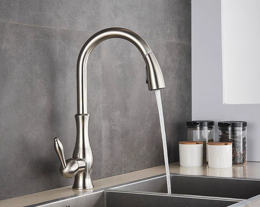 Robinet Cuisine Design Extensible Premium