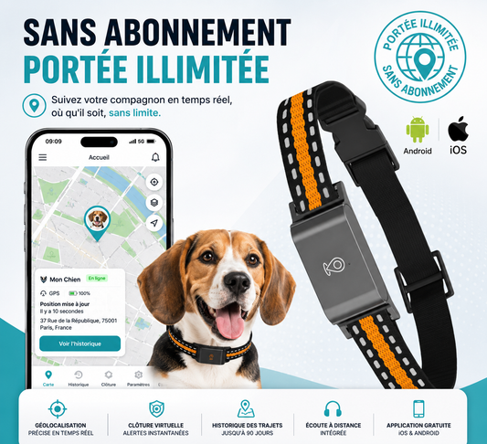 Collier GPS Intelligent pour Chien Sans Abonnement
