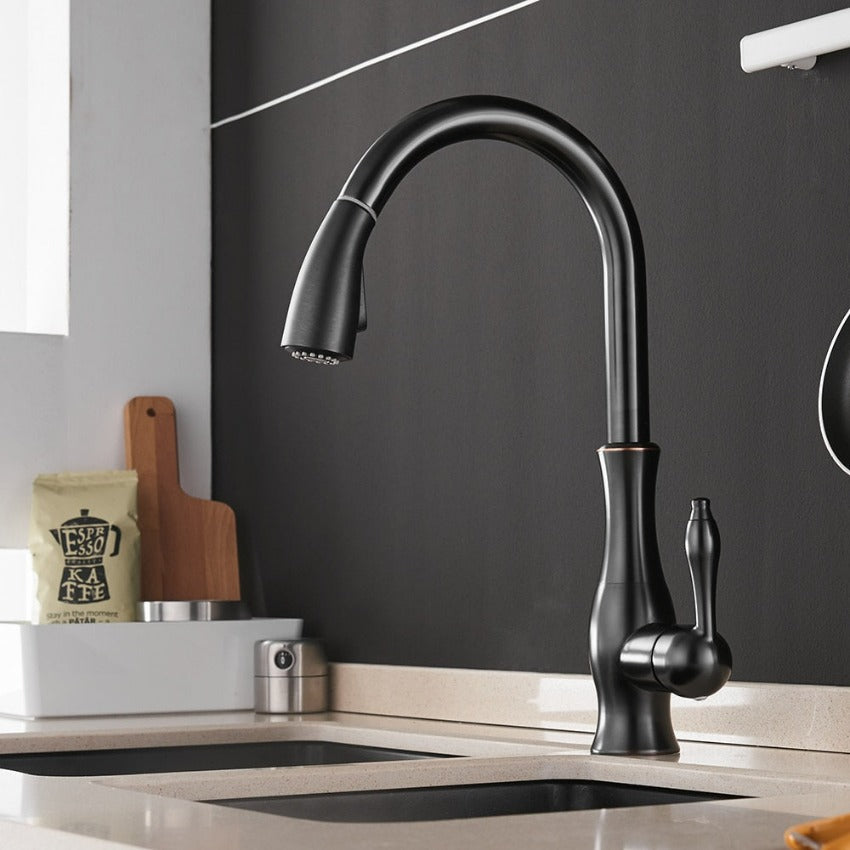Robinet Cuisine Design Extensible Premium