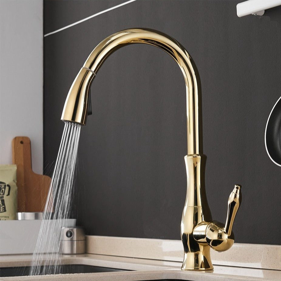 Robinet Cuisine Design Extensible Premium